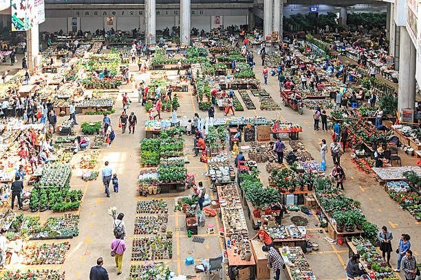 Chợ hoa Đấu Nam – chợ hoa lớn nhất Châu Á