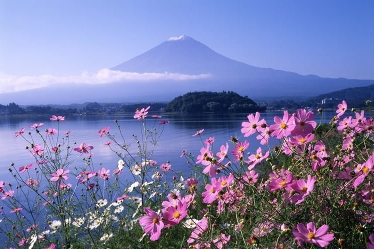 Chiêm ngưỡng vẻ đẹp núi Phú Sĩ