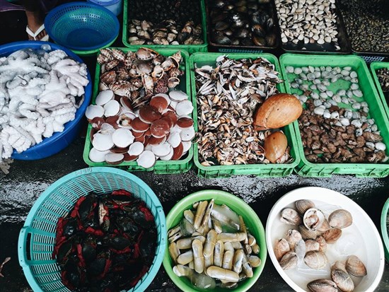 Chợ Hón Hải Tiến – Chợ Hải Sản 🐠🐠🐠 tươi ngon giá siêu rẻ ở ngay gần bãi biển Hải Tiến
