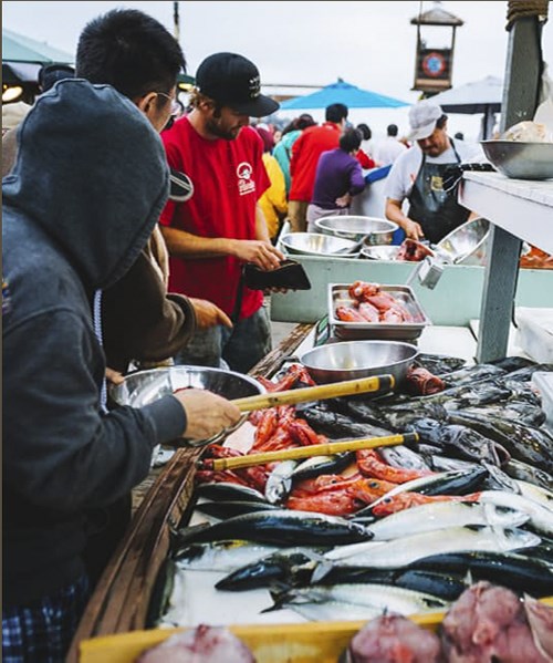 Đi California Mỹ muốn ăn hải sản tươi tận bến hãy đến ngay 2 chợ cá cực nổi tiếng này
