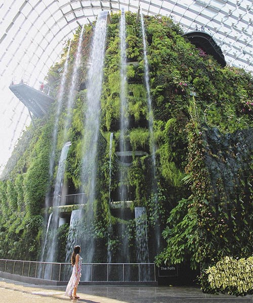Top 8 cȏng viên cȃy xanh ở Singapore tuyệt vời và nổi tiếng nhất đối với khách du lịch