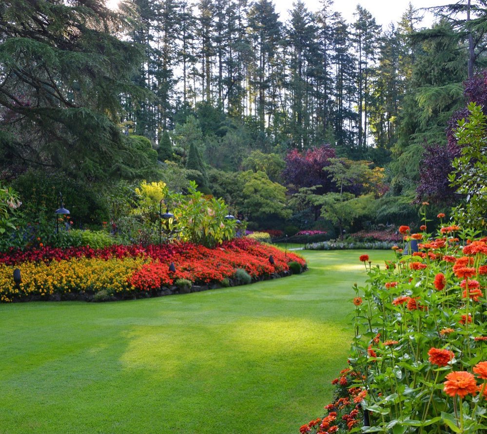 Summer Garden là một khu vườn rực rỡ với đủ các loài hoa đang khoe sắc