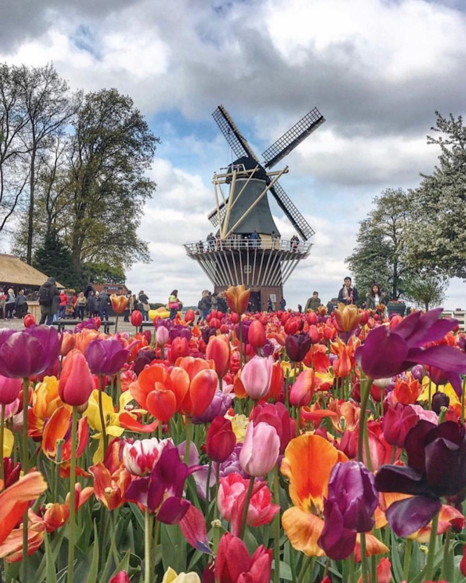 Mùa xuân ở Hà Lan