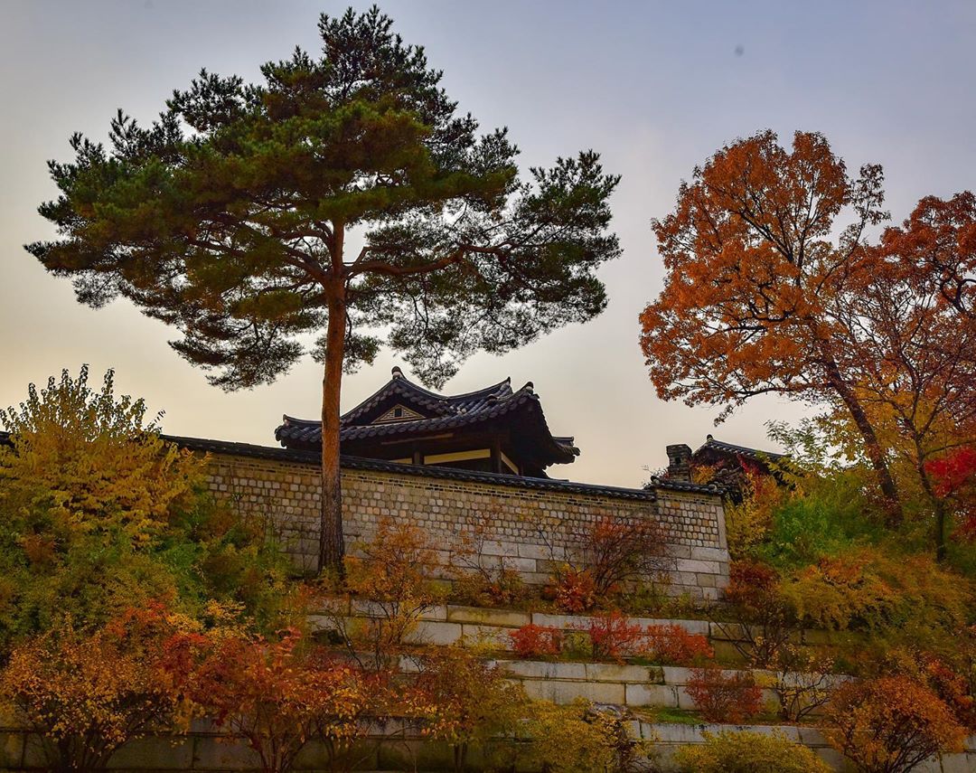 Changdeokgung vào mùa thu