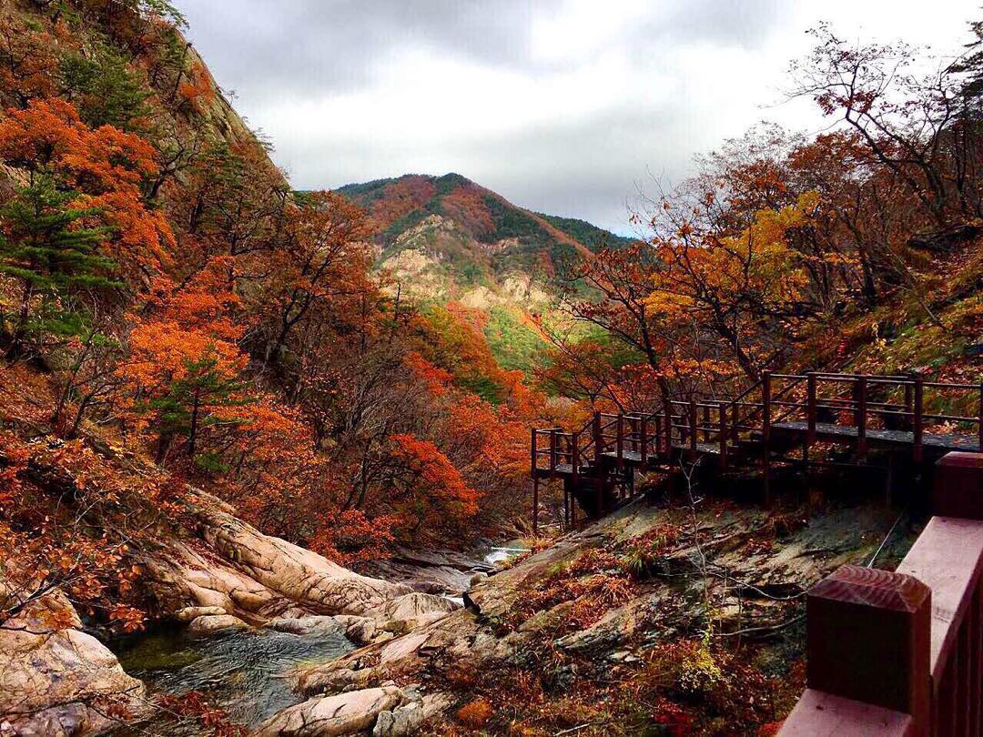 Vườn quốc gia Seoraksan (Seoraksan National Park) có phong cảnh mùa thu với lá vàng lá đỏ tự nhiên cực đẹp