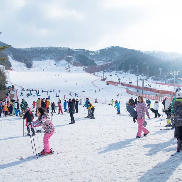 Khu trượt tuyết Yangji Pine