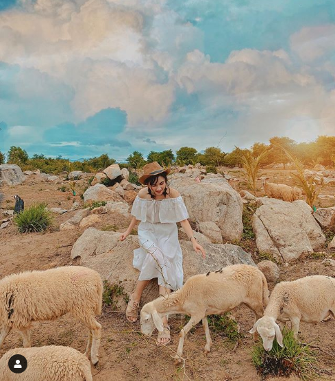 Đồng cừu Ninh Thuận