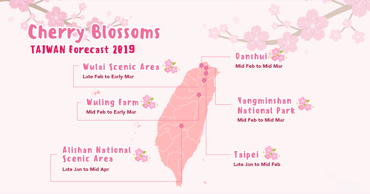 Lịch ngắm hoa anh đào nở ở Đài Loan