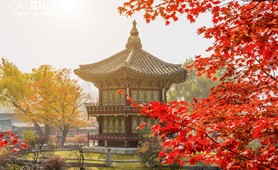 Tour du lịch Hàn Quốc miễn visa | Sài Gòn - Yang Yang - Seoraksan - Incheon - Seoul - Nami 4N3Đ 2022