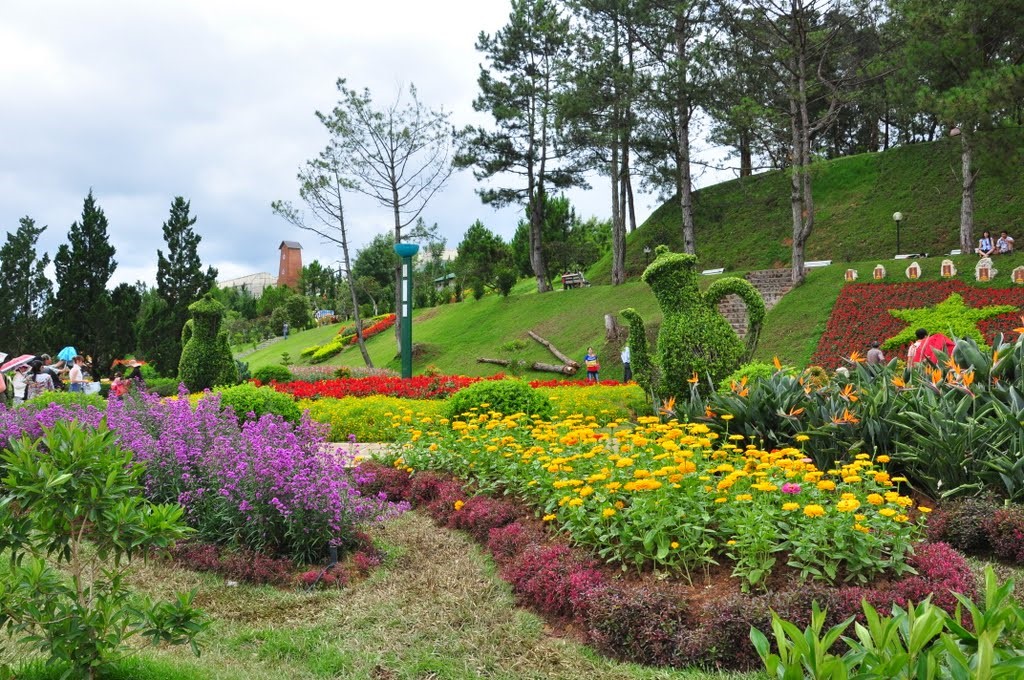 Tham quan vườn hoa thành phố Đà Lạt đầy màu sắc