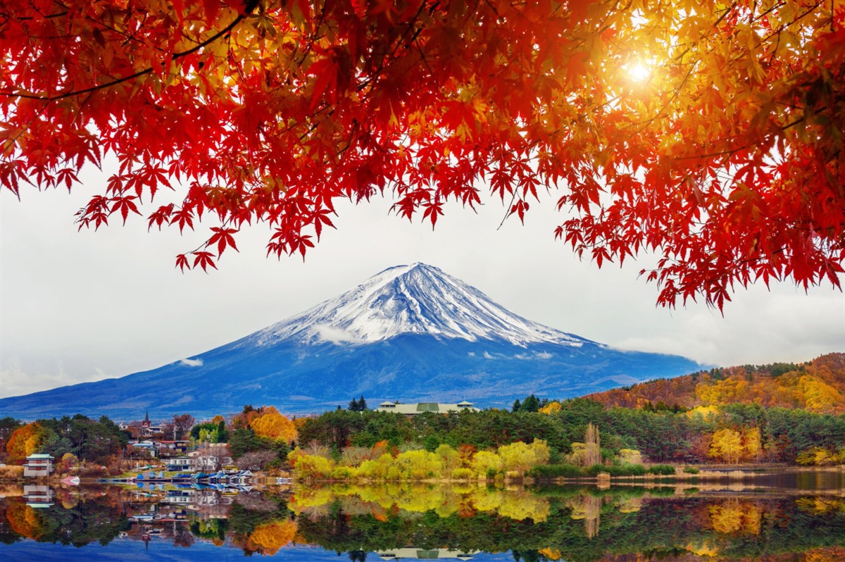 Ngắm khung cảnh núi Phú Sĩ hùng vĩ