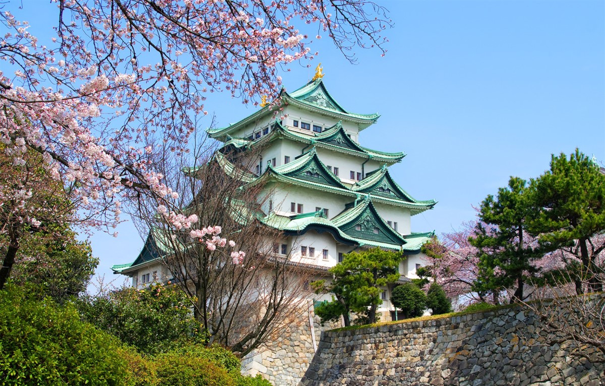 Ghé thăm Lâu đài Nagoya nổi tiếng Nhật Bản