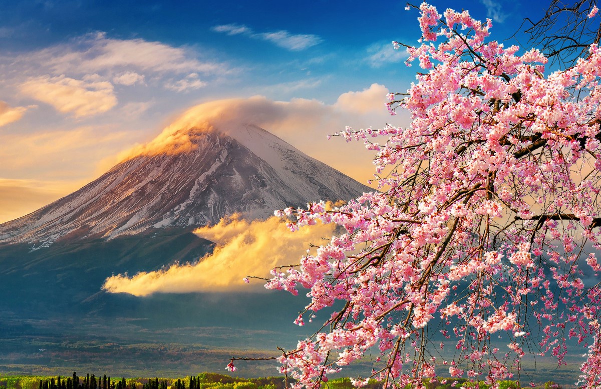 Chiêm ngưỡng vẻ đẹp của núi Phú Sĩ mùa xuân