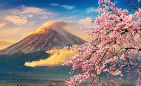 Tour du lịch Hà Nội - Nhật Bản 6N5Đ Vietjet Air (Ngắm hoa anh đào 2023) - Bay Sáng Về Chiều