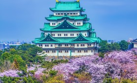 Tour du lịch Nhật Bản | TP. Hồ Chí Minh - Osaka - Nara - Kyoto - Nagoya - Tokyo 6N5Đ (Hoa Anh Đào)