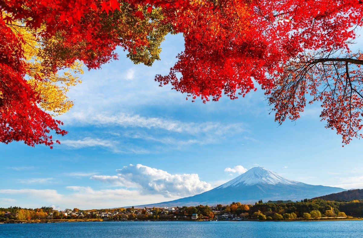 Ngắm nhìn toàn cảnh của hồ Kawaguchiko và núi Phú Sĩ tuyệt đẹp