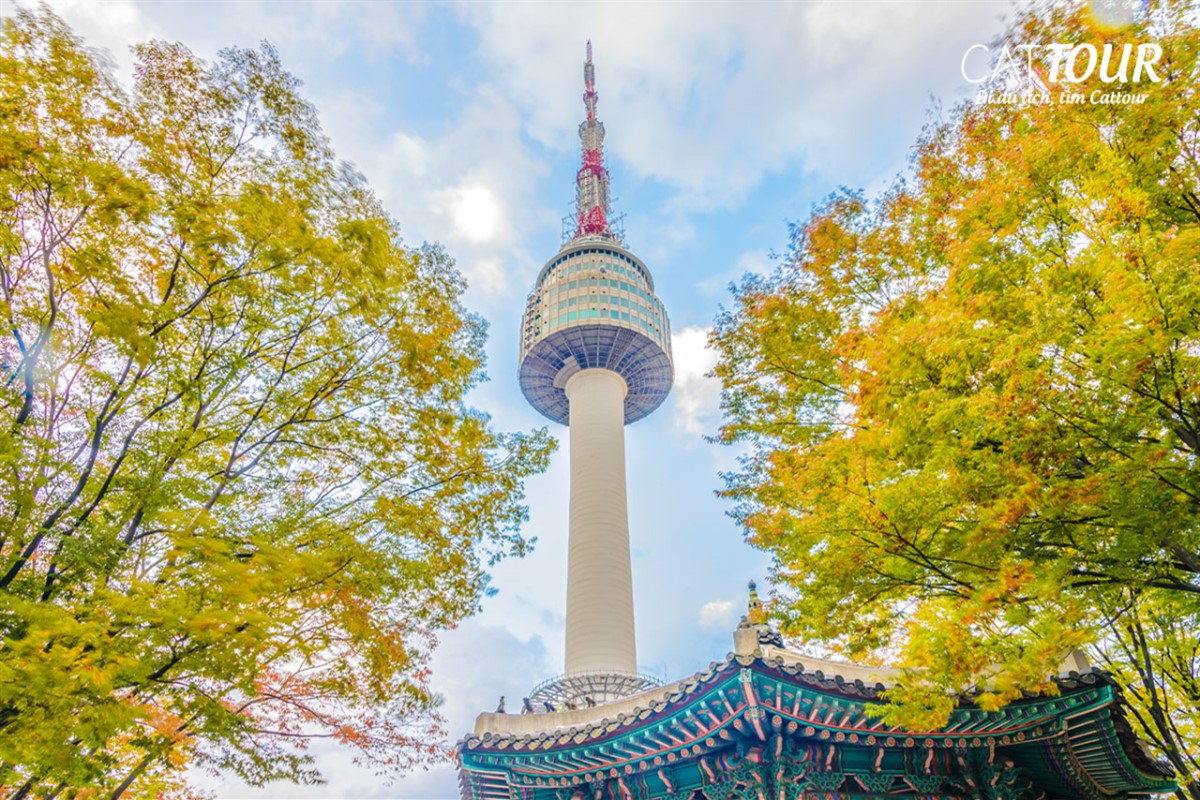 Ghé thăm biểu tượng Tháp N Seoul