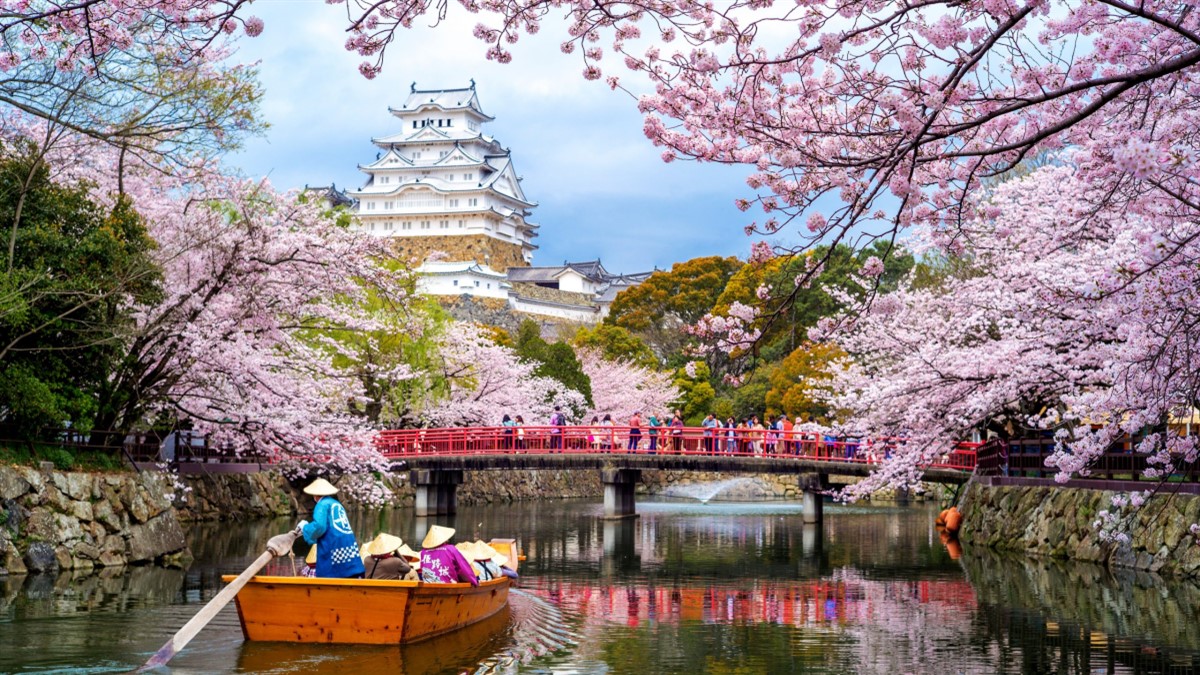 Tham quan Thành Osaka nổi tiếng bậc nhất
