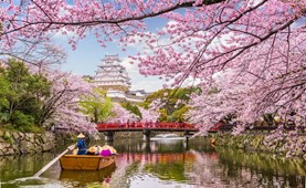 Tour du lịch Nhật Bản | TP. Hồ Chí Minh - Osaka - Kyoto - Nagoya - Fuji - Tokyo 5 Ngày 5 Đêm