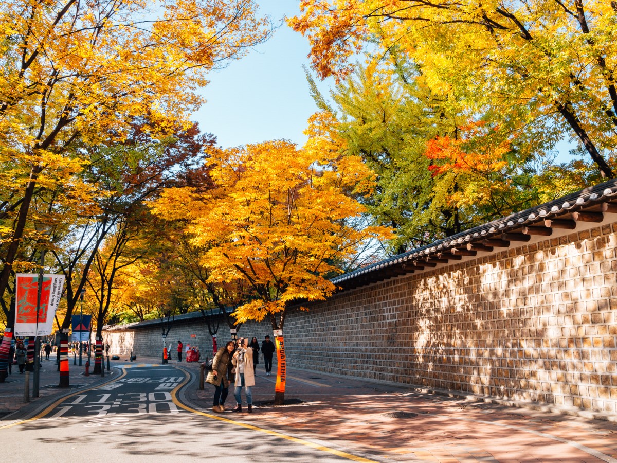 Ngắm nhìn khung cảnh lãng mạn mùa thu tại Thủ đô Seoul