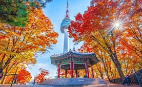 [Tour Tết 2025] Tour du lịch Hàn Quốc | TP. Hồ Chí Minh - Seoul - Nami - Everland 5 Ngày 4 Đêm