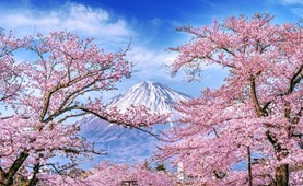 Tour du lịch Nhật Bản | Đà Nẵng - Tokyo - Núi Phú Sỹ - Nagoya - Kyoto - Osaka 6 ngày 5 đêm