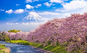 Tour du lịch Nhật Bản | Đà Nẵng - Osaka - Kyoto - Nagoya - Phú Sỹ - Tokyo 6 ngày 5 đêm