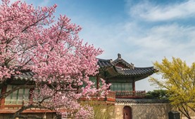 Tour du lịch Hàn Quốc | Hải Phòng - Hàn Quốc 6 ngày 5 đêm | Bay thẳng