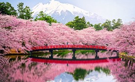 Tour du lịch Nhật Bản | Hải Phòng - Osaka - Kyoto - Fuji - Tokyo 6 ngày 5 đêm