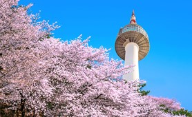 Tour du lịch Hàn Quốc | Hà Nội - Seoul - Đảo Nami - Everland 5 ngày 4 đêm