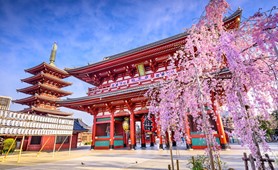Tour du lịch Nhật Bản | Hà Nội - Osaka – Kyoto – Nagoya – Phú Sỹ - Tokyo 6N5Đ