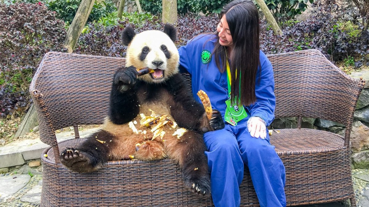 Công viên gấu trúc