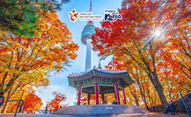 Tour du lịch Hàn Quốc | Hà Nội - Seoul - Đảo Nami - Everland 5 ngày 4 đêm