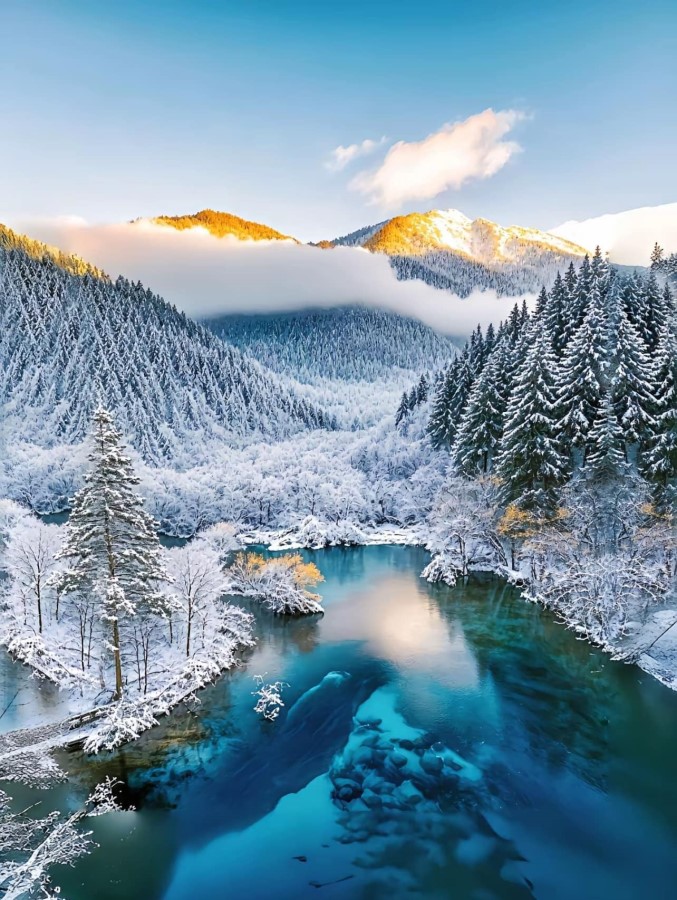 Cửu trại câu mùa đông