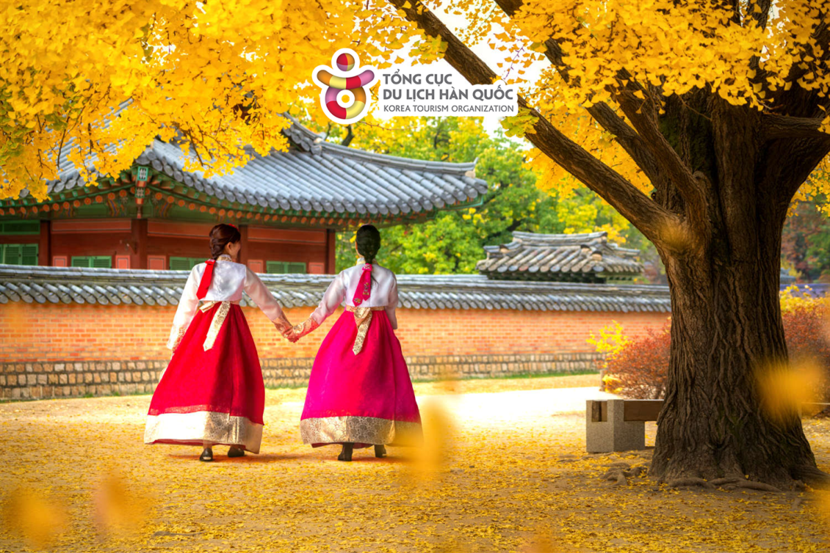 Cùng ghi lại những bức ảnh đẹp ở Hàn Quốc