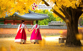 Tour du lịch Hàn Quốc | Hà Nội - Seoul - Đảo Nami - Everland 5 ngày 4 đêm