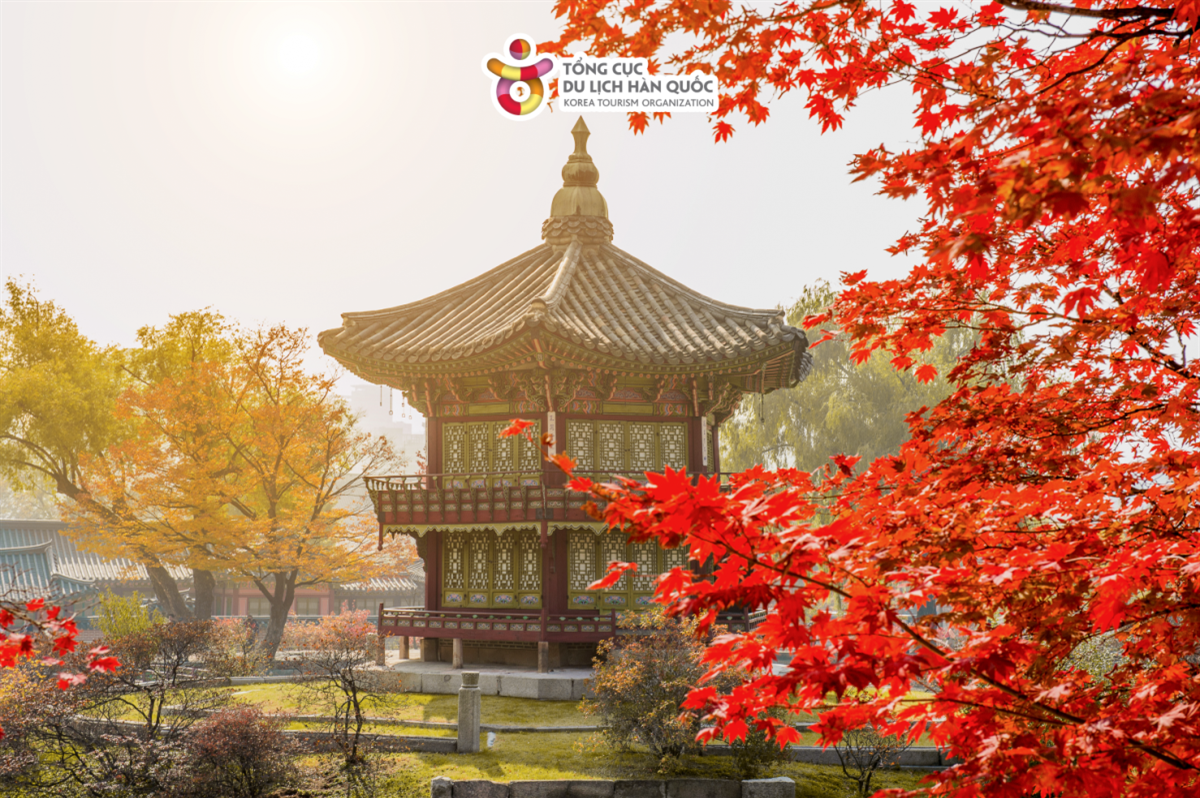 Ngắm nhìn khung cảnh lãng mạn mùa thu tại Thủ đô Seoul