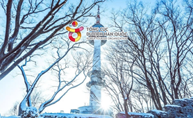 Tour du lịch Hàn Quốc | TP. Hồ Chí Minh - Seoul - Đảo Nami - Everland 5 ngày 4 đêm