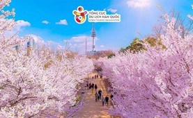 Tour du lịch Hàn Quốc | Hà Nội - Seoul - Đảo Nami - Everland 5 ngày 4 đêm