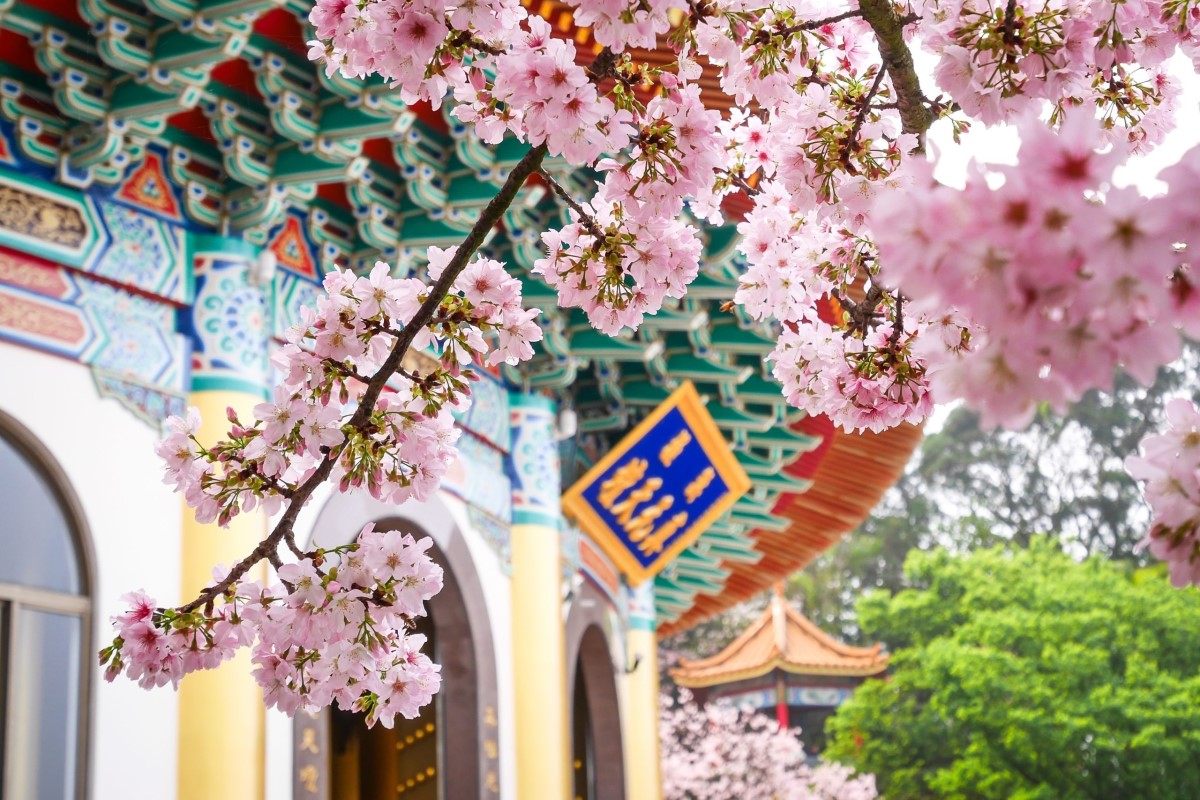 Tour du lịch Đài Loan | Hải Phòng - Cao Hùng - Đài Trung - Nam Đầu - Đài Bắc 5 ngày 4 đêm