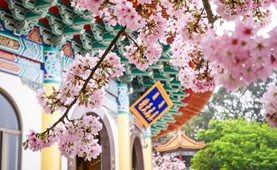 Tour du lịch Đài Loan | Hải Phòng - Cao Hùng - Đài Trung - Nam Đầu - Đài Bắc 5 ngày 4 đêm