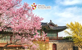 Tour du lịch Hàn Quốc | TP. Hồ Chí Minh - Seoul - Đảo Nami - Everland 5 ngày 4 đêm