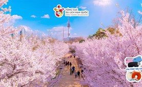 Tour du lịch Hàn Quốc | Hà Nội - Seoul - Đảo Nami - Everland 5 ngày 4 đêm