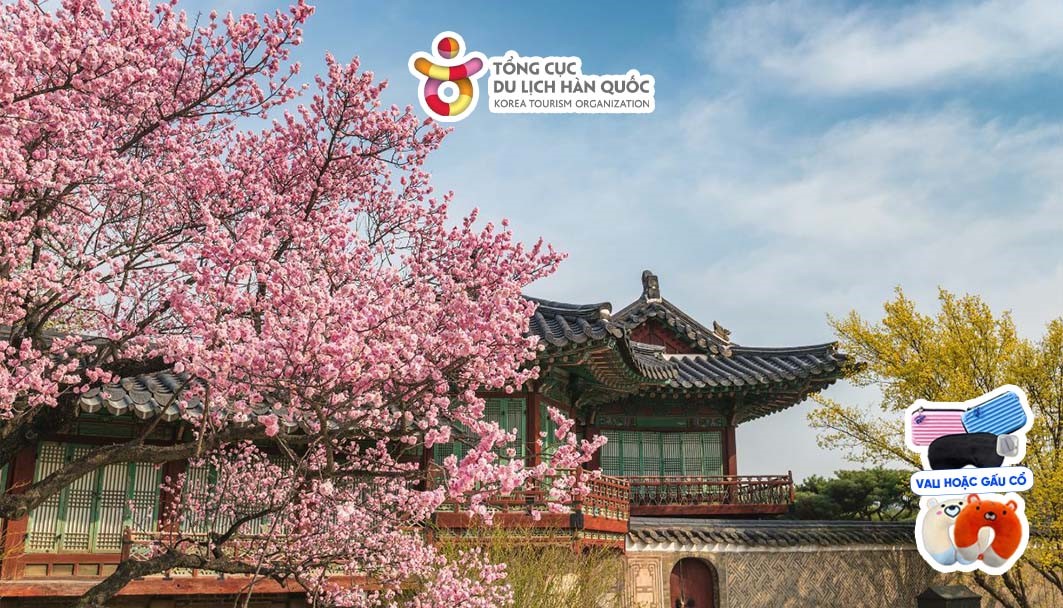 Ngắm nhìn biểu tượng của thủ đô Seoul - Tháp Namsan