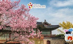 Tour du lịch Hàn Quốc | TP. Hồ Chí Minh - Seoul - Đảo Nami - Everland 5 ngày 4 đêm