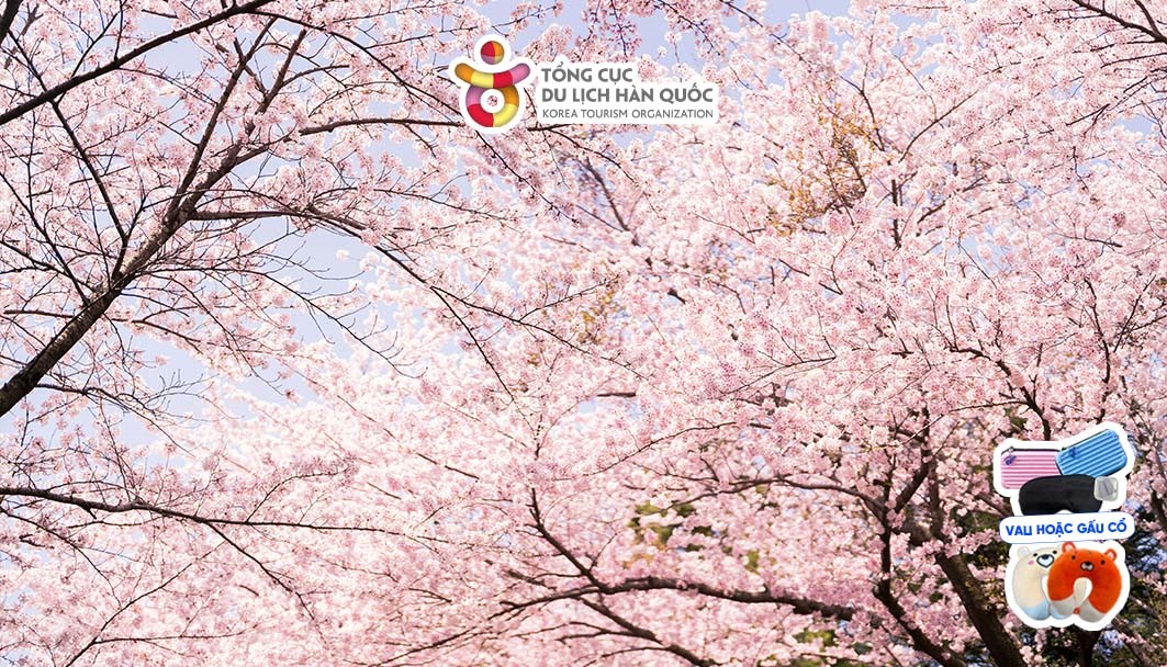 Tour du lịch Hàn Quốc | Hải Phòng - Hàn Quốc 6 ngày 5 đêm | Bay thẳng