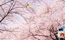 Tour du lịch Hàn Quốc | Hải Phòng - Hàn Quốc 6 ngày 5 đêm | Bay thẳng