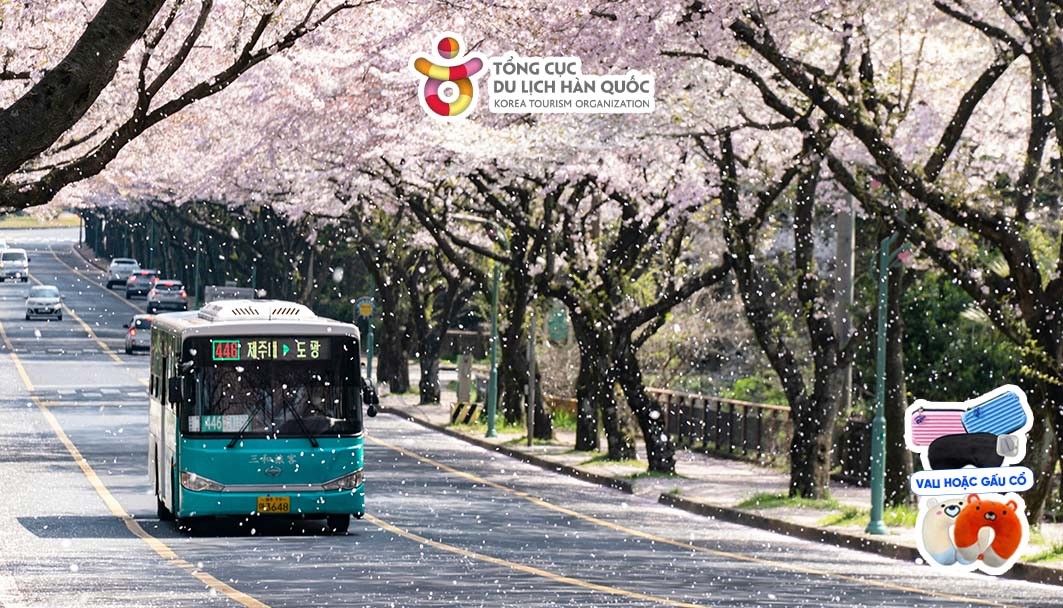 Tour du lịch Hàn Quốc | Đà Nẵng - Seoul - Nami - Everland 5 Ngày 4 Đêm