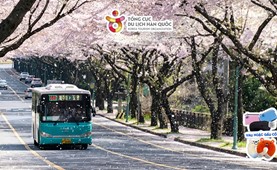 Tour du lịch Hàn Quốc | Đà Nẵng - Seoul - Nami - Everland 5 Ngày 4 Đêm