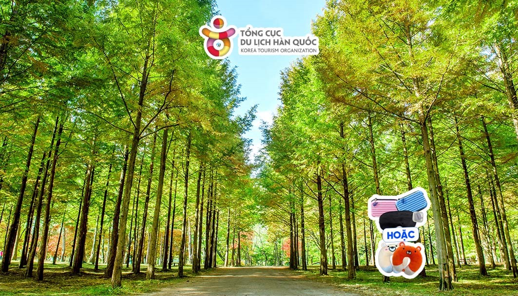 Đảo Nami trong bối cảnh phim "Bản tình ca mùa đông"